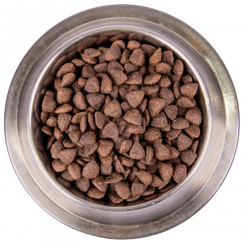 Monge Dog BWild LOW GRAIN низкозерновой корм из мяса оленя для взрослых собак всех пород 2,5 кг