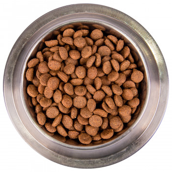 Monge Dog Monoprotein All Breeds Beef and Rice корм для собак всех пород говядина с рисом 2,5 кг