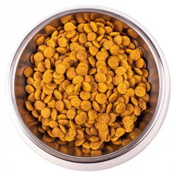 Monge Cat Sterilised корм для стерилизованных кошек 10 кг